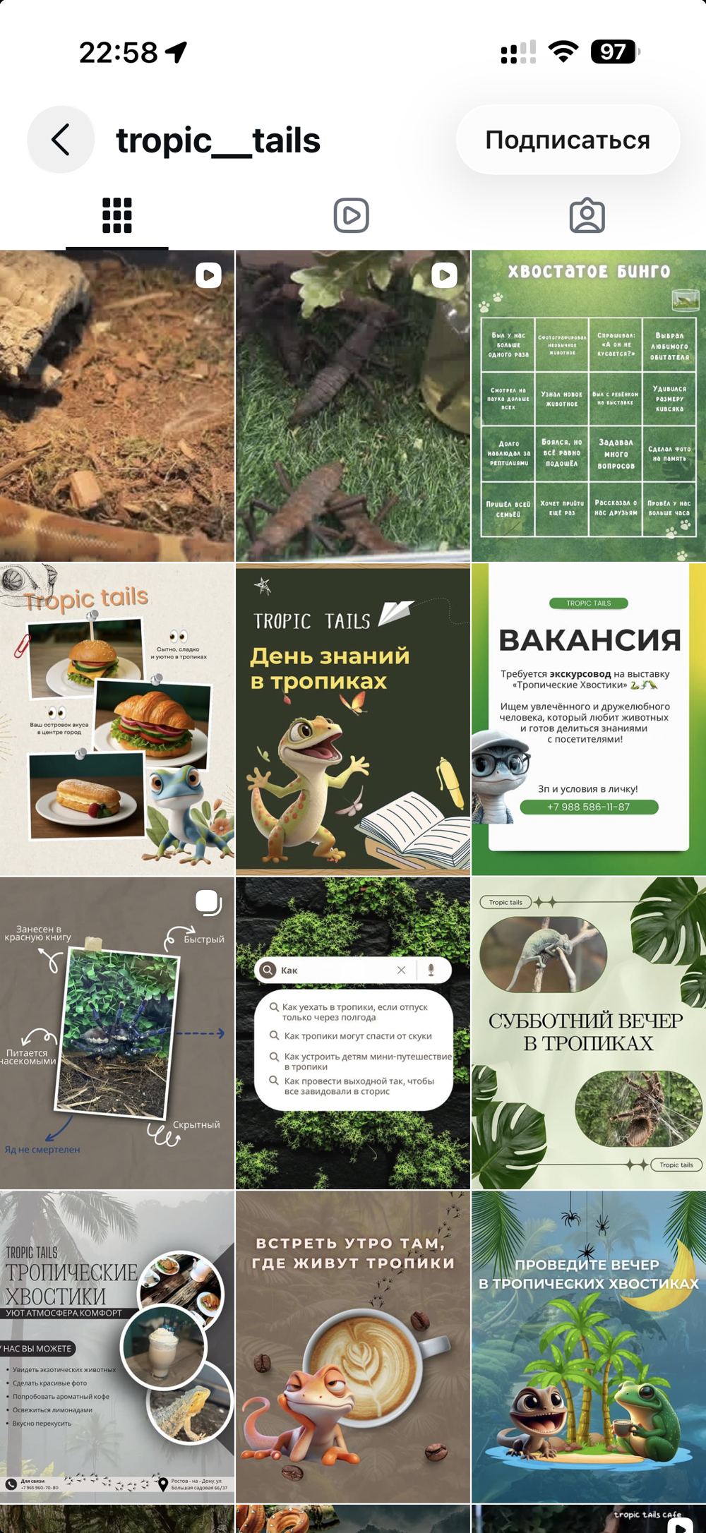 Превью аккаунта Tropic Tales Cafe в Instagram: сетка публикаций